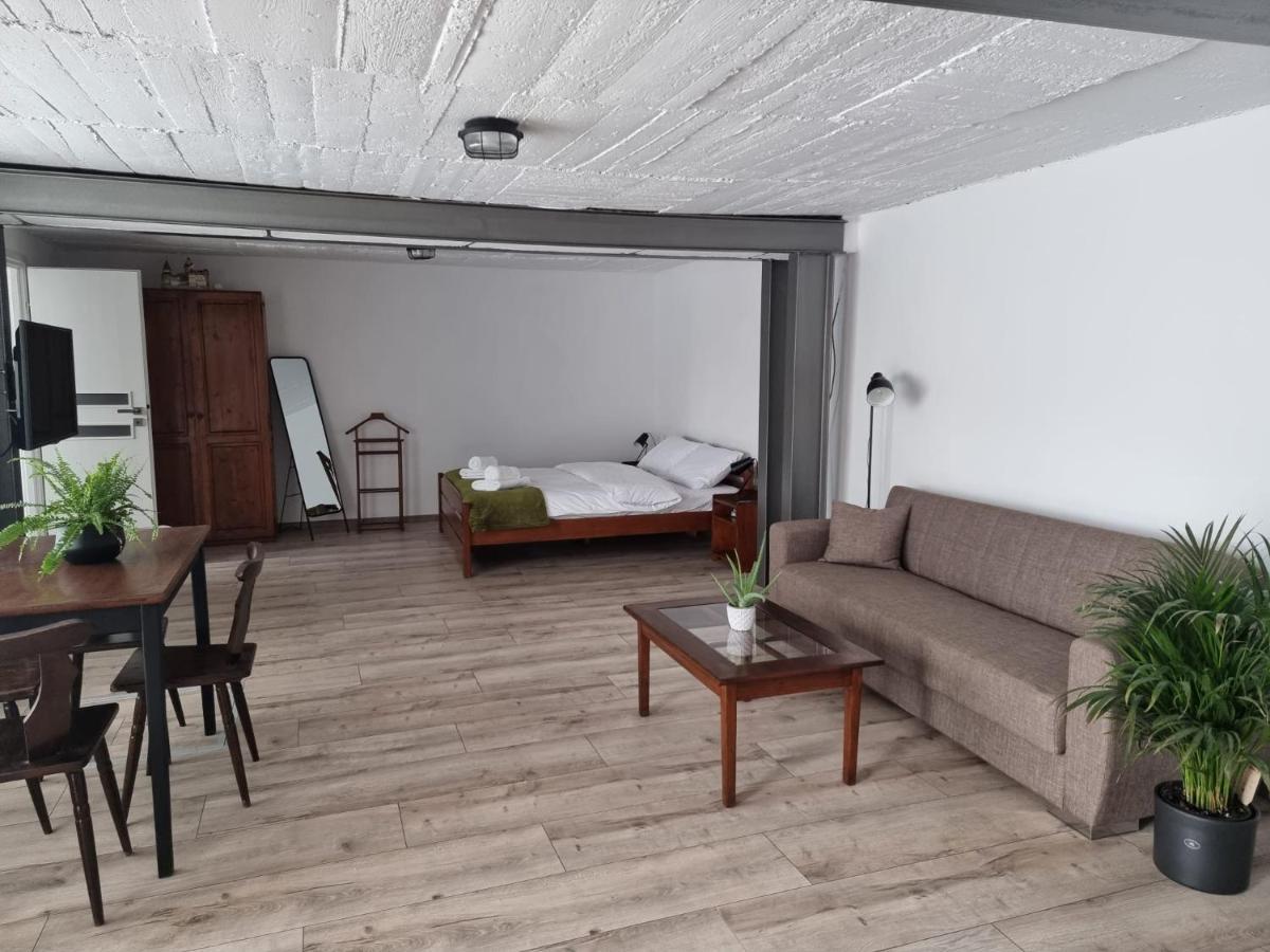 The Cozy Bunker Lägenhet Sibiu Exteriör bild