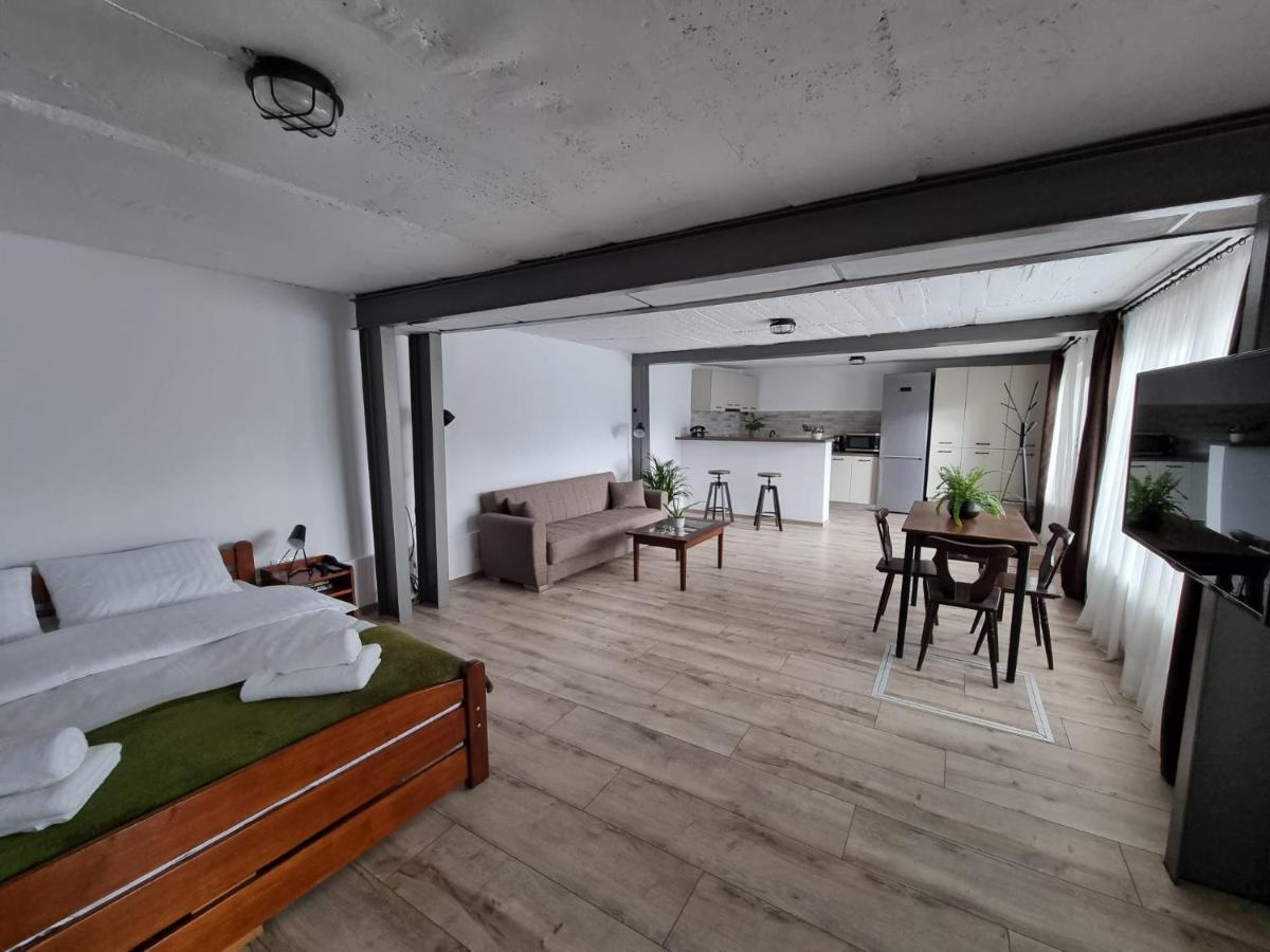 The Cozy Bunker Lägenhet Sibiu Exteriör bild