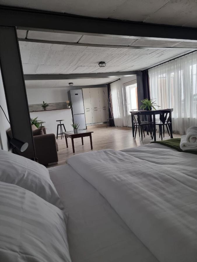 The Cozy Bunker Lägenhet Sibiu Exteriör bild