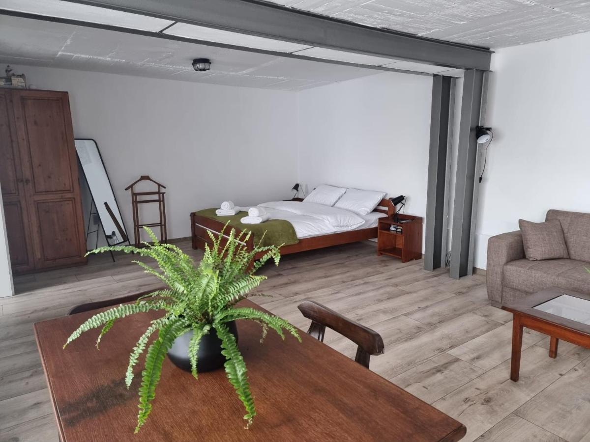 The Cozy Bunker Lägenhet Sibiu Exteriör bild