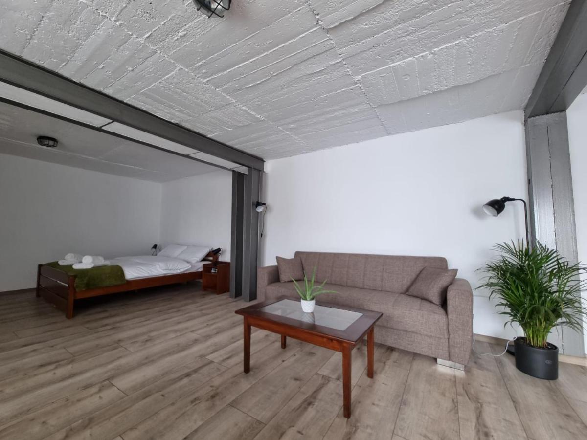 The Cozy Bunker Lägenhet Sibiu Exteriör bild