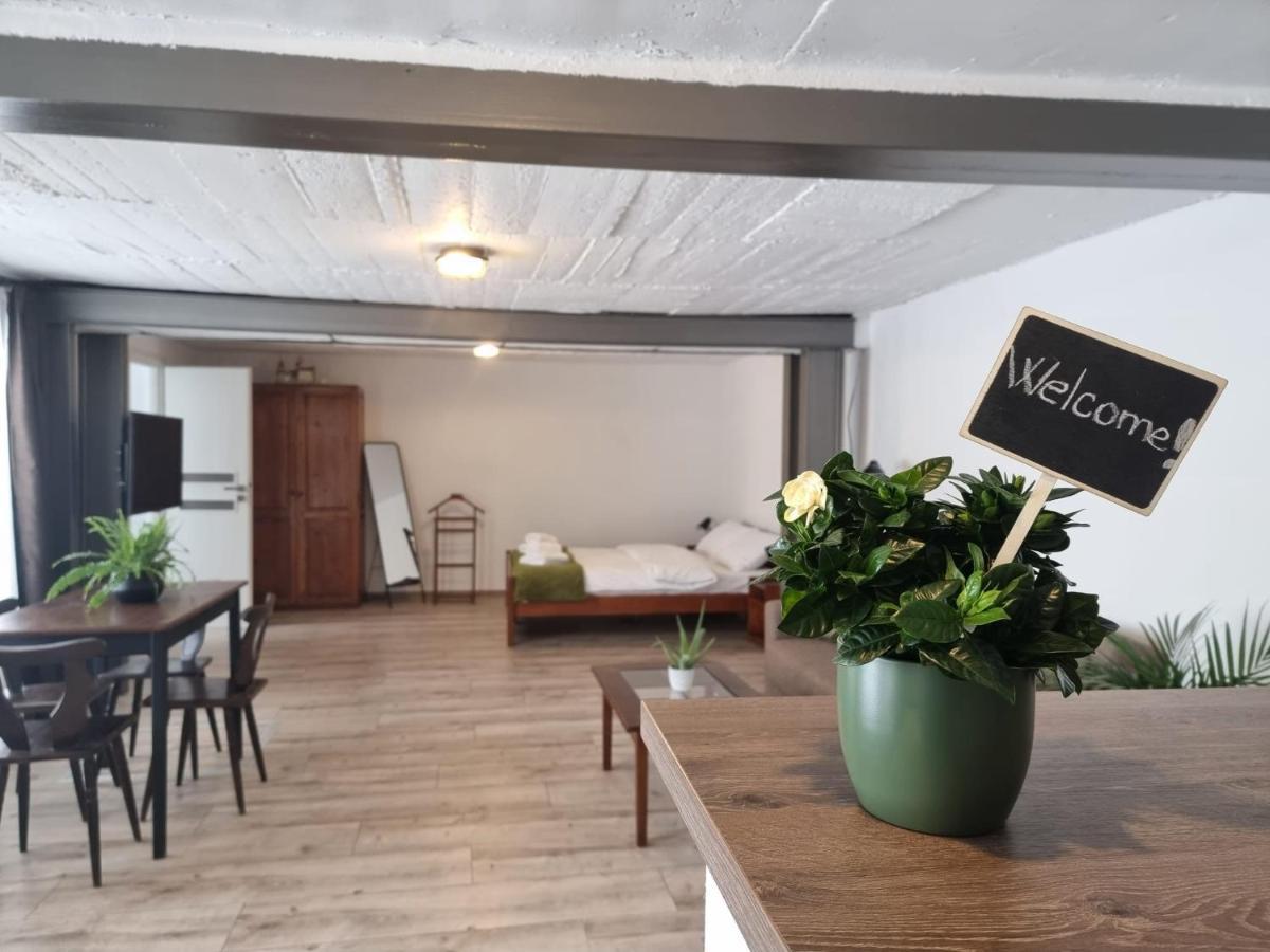 The Cozy Bunker Lägenhet Sibiu Exteriör bild