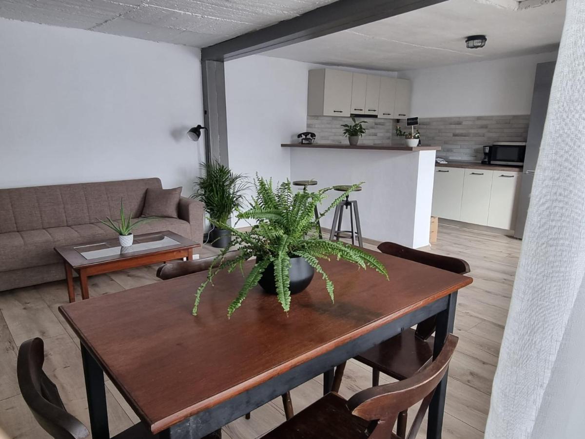 The Cozy Bunker Lägenhet Sibiu Exteriör bild