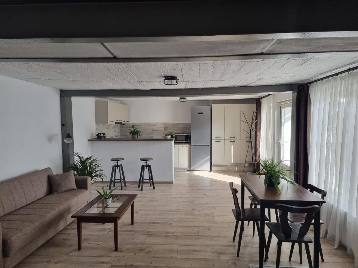 The Cozy Bunker Lägenhet Sibiu Exteriör bild