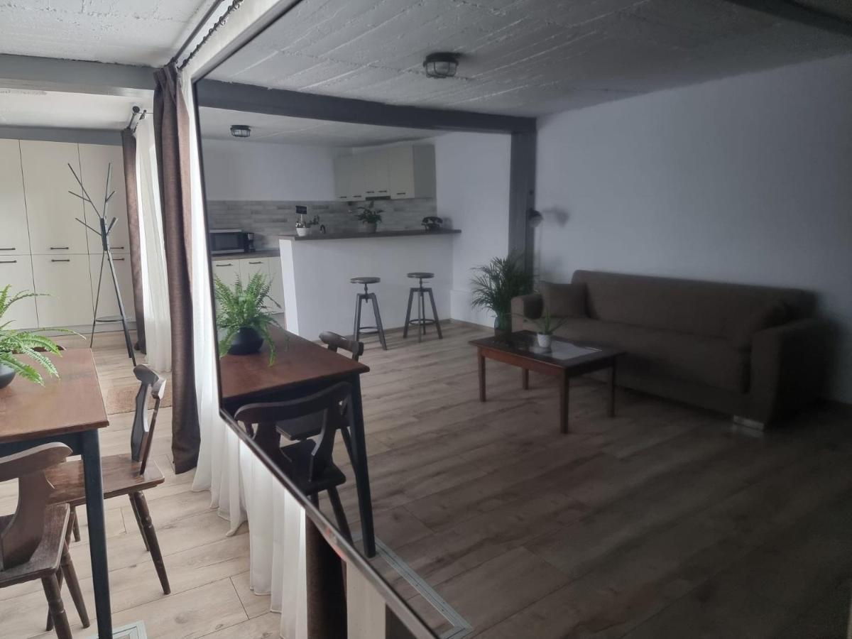 The Cozy Bunker Lägenhet Sibiu Exteriör bild